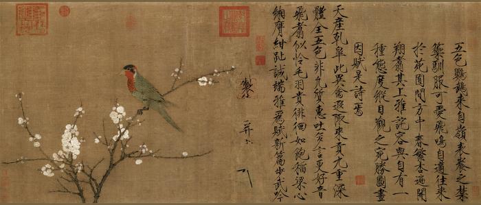 赵佶-五色鹦鹉 绢本 53X125cm